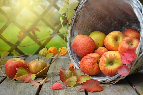őszi almák kosárban